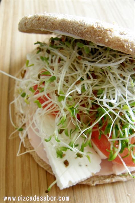Cómo hacer un sándwich saludable   Pizca de Sabor