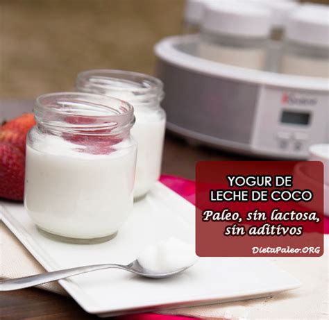 Como hacer yogur casero de leche de coco sin lactosa ...