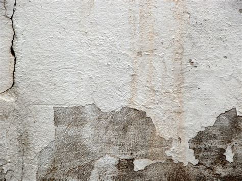 Cómo limpiar hongos de humedad de las paredes?