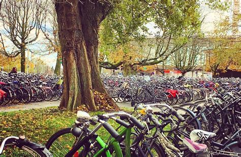 Como os holandeses lutaram por um país de bicicletas ...