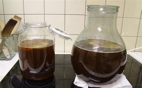 Cómo preparar el té kombucha