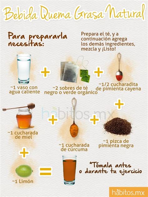 Como preparar una bebida quema grasa natural | Infografías ...