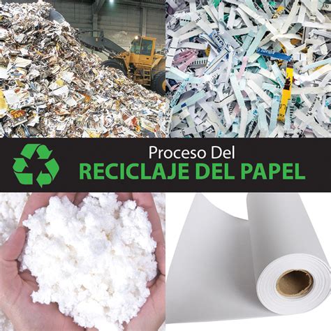 Cómo Reciclar Papel: Qué Es Y Guía Para Hacerlo Mente y ...