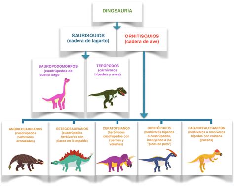 Cómo se clasifican los dinosaurios   Dinofun App   Aprende ...