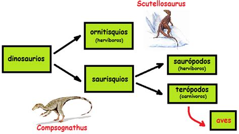 Cómo Se Clasifican Los Dinosaurios — Cool Gals