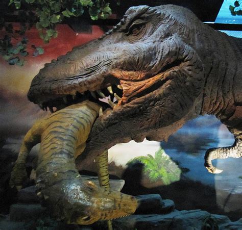¿Cómo se extinguieron los dinosaurios? | Empresa y economía