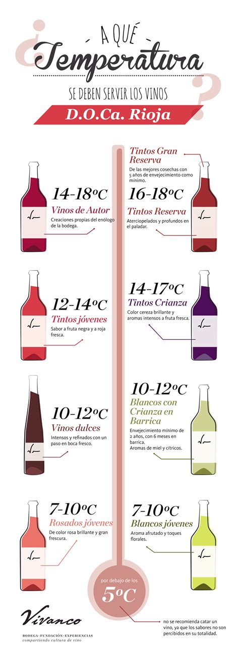 Cómo servir el vino correctamente | Vivanco