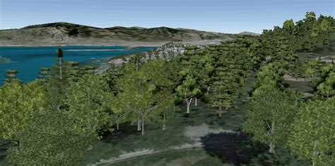 Cómo ver árboles en 3D   Ayuda de Google Earth