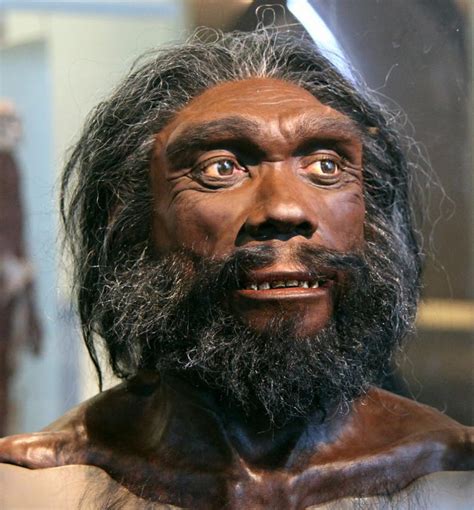 ¿Cómo vivían los Hombres del Paleolítico?   Batanga
