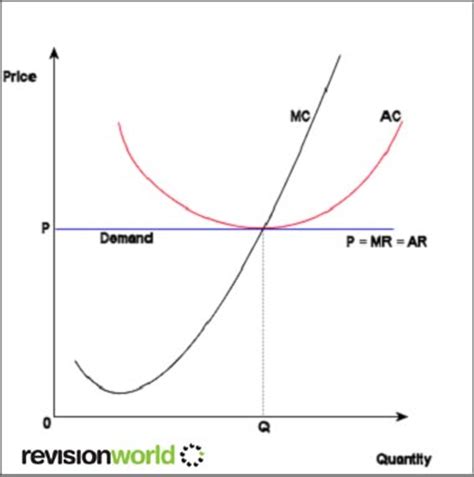 Competitive Markets | Revision World