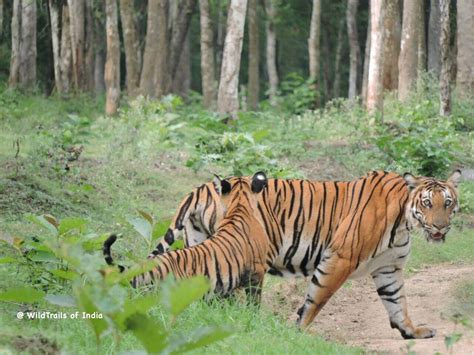 Complete list of all Wildlife Sanctuaries of Karnataka, India