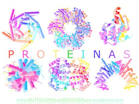 compuestos orgánicos : proteinas