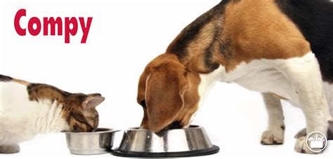 Compy, la marca de comida para mascotas más vendida