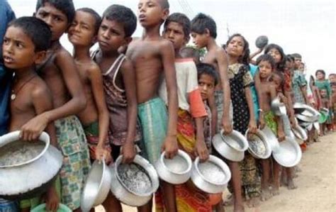 Con hambre o desnutrición, más de 842 millones de personas ...