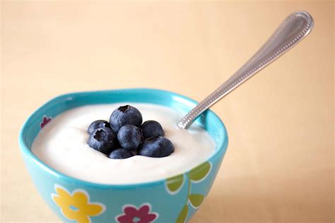 ¿Con qué tipos de bacterias se hace el yogur? – Curiosoando