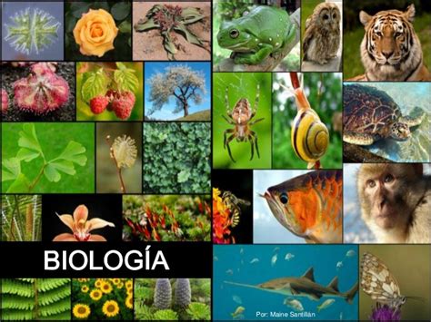 Conceptos Básicos Biología