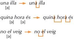 Coneixement de la llengua   Llengua catalana. 2n ESO