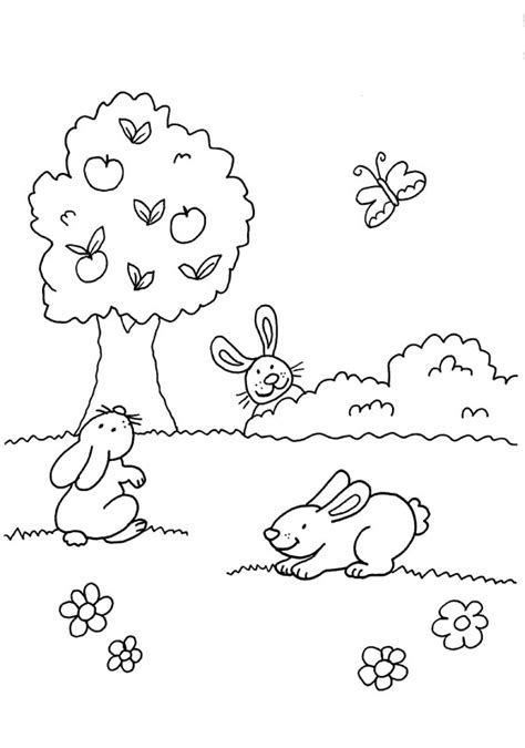 Conejos y mariposa: dibujos para colorear e imprimir