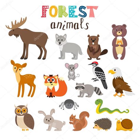 Conjunto de animales del bosque lindo en vector. Bosques ...