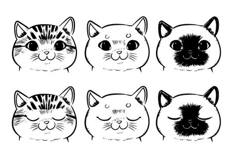 Conjunto de caras de gato de dibujo aisladas sobre fondo ...