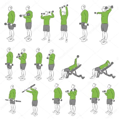 Conjunto de ejercicios de musculación sistemática — Vector ...