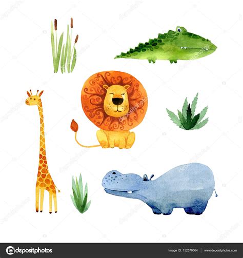 Conjunto de plantas y animales africanos acuarela dibujos ...