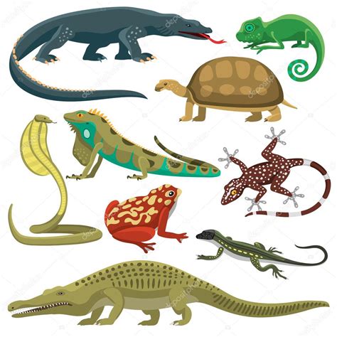 Conjunto de vectores de animales reptiles — Archivo ...