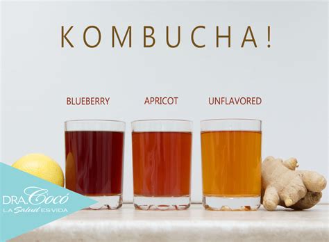 ¿Conoces Todos Los Beneficios De La Kombucha? | Dra. Cocó