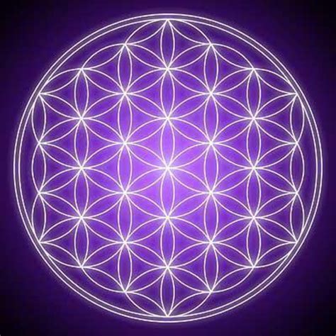 Consciousness Energy Path 111: Foo Lion & The Flower Of Life