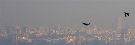 Consecuencias de la contaminación atmosférica en Madrid ...