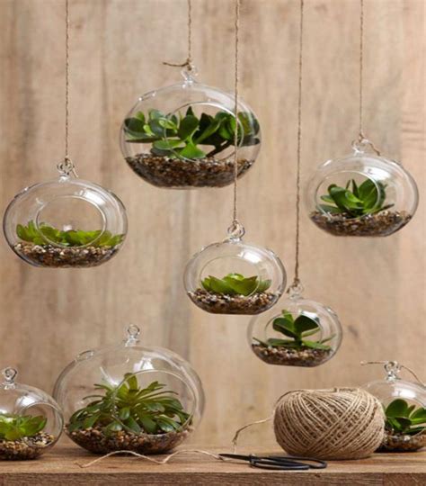 Consejos para crear tu propio terrario con plantas