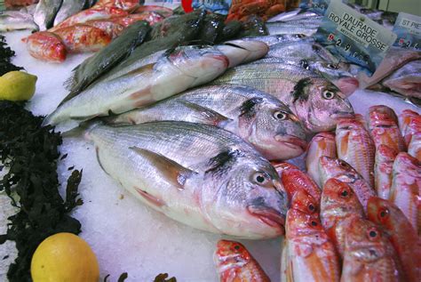 Consejos para elegir pescado fresco