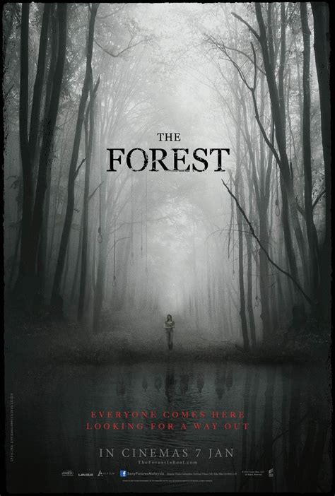CONTACT :: Watch The Forest 2016 online free full movie ...