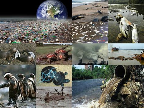 Contaminacion ambiental: Contaminación Ambiental