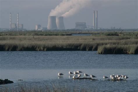 Contaminación del agua: Qué es, causas, consecuencias y ...