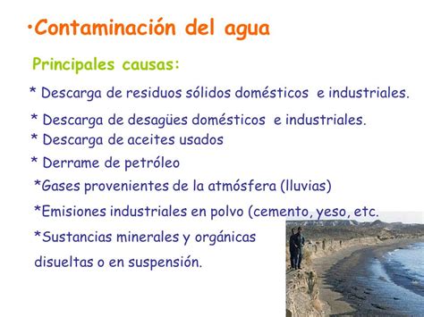 Contaminación.   ppt video online descargar
