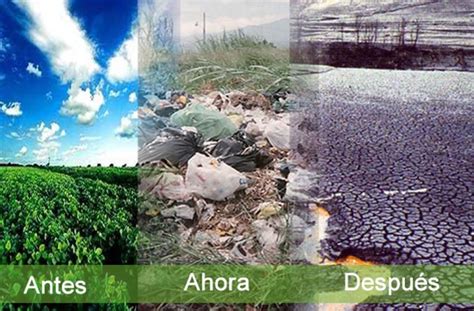 Contaminación | Qué es, Clases, Naturaleza y Hombre ...
