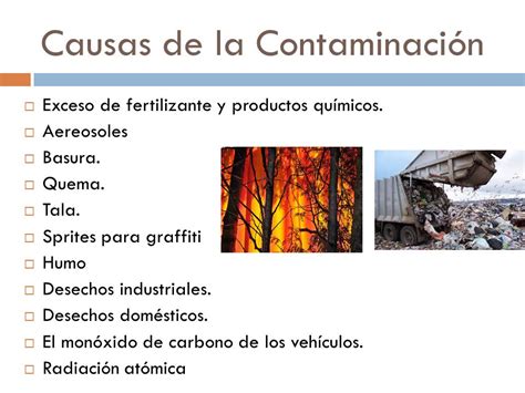 Contaminación y sus efectos en El Planeta   ppt video ...