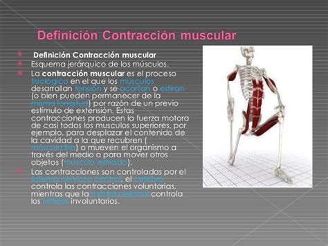 Contraccion muscular