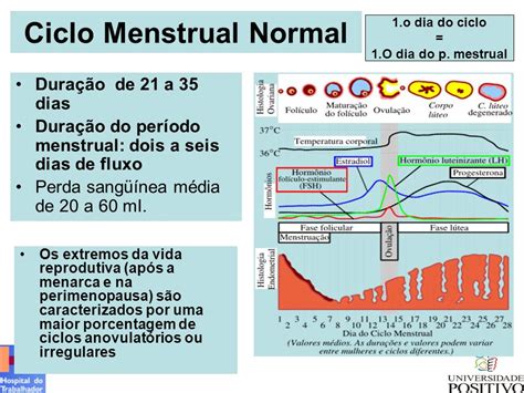 Controle do Ciclo Menstrual Diagnóstico de Gravidez   ppt ...