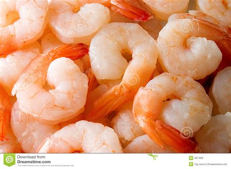 Cooked Shrimps Royalty Free Stock Images   Image: 297499