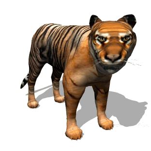 Cool Animated Tiger Gifs at Best Animations