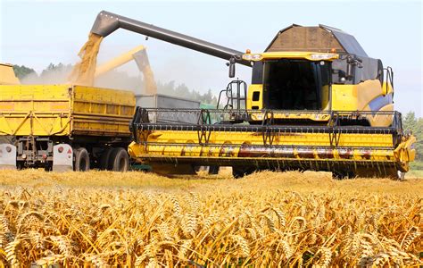 Corn Futures News   CBOT Corn Futures Prices