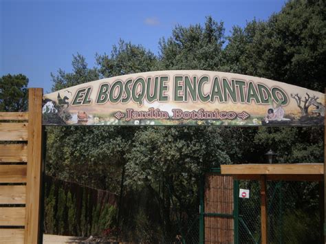 Cosas que hacer en Madrid… de paseo por El Bosque ...