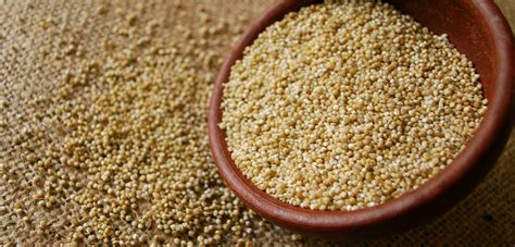 Cos’è la Quinoa, perché fa bene e come si cucina   Green.it