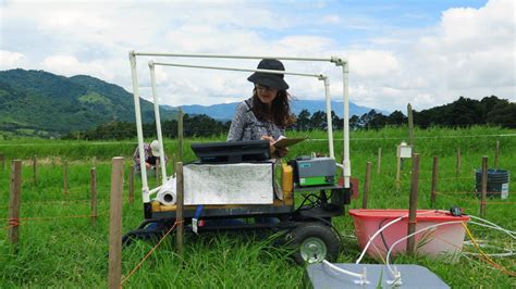 Costa Rica Paves the Way for Climate Smart Agriculture | IAEA