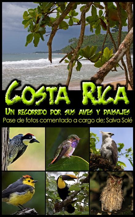 Costa Rica un recorrido por sus aves y paisajes   GL SEO ...