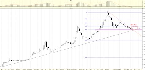 Cotizacion del dolar argentina   reportspdf549.web.fc2.com