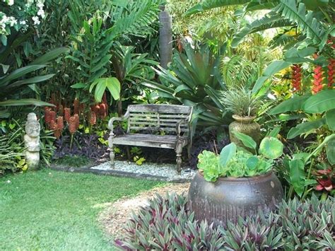 Crea tu propio jardín de plantas tropicales