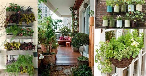 Creative Ideas for Balcony Garden Containers | Balcony ...